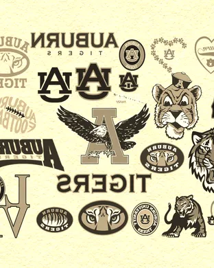 Auburn Tigers vs. Wisconsin Badgers