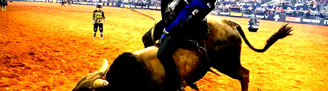 PBR: Teams Series