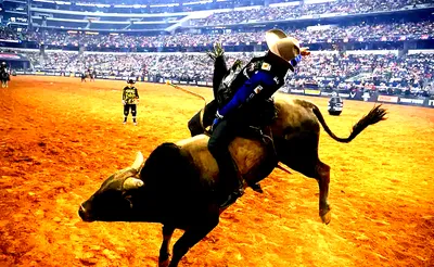 PBR: Teams Series